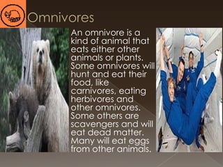 

An omnivore is a
kind of animal that
eats either other
animals or plants.
Some omnivores will
hunt and eat their
food, like
carnivores, eating
herbivores and
other omnivores.
Some others are
scavengers and will
eat dead matter.
Many will eat eggs
from other animals.

 