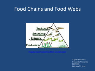 Food Chains and Food Webs

maggiesscienceconnection.weebly.com
Angela Strudwick
Concordia University
EDCI588
February22, 2014

 