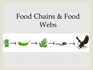 Food Chains & Food
Webs
 