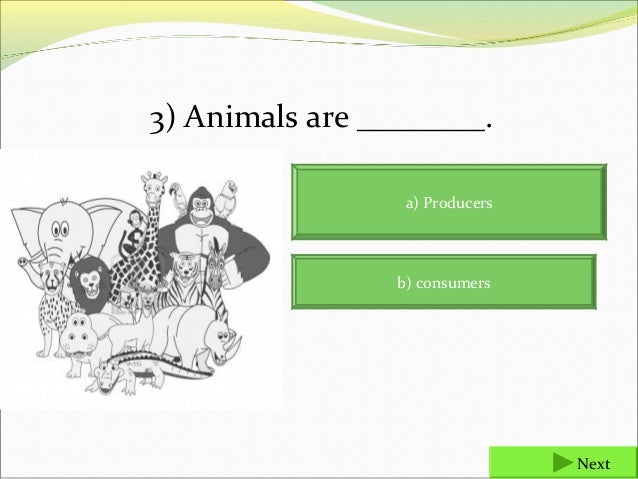 food chains and food webs final 3 animals are a producers b consumers