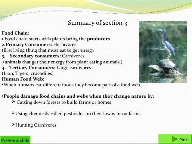 food chains and food webs final previous slide next 23
