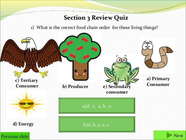 food chains and food webs final i hunting carnivoresprevious slide next 24 section 3 review quiz 1 what is the correct food chain