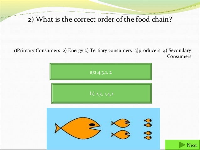 food chains and food webs final 26