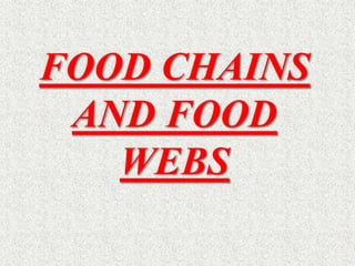 FOOD CHAINS
AND FOOD
WEBS
 