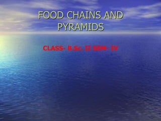 FOOD CHAINS AND
PYRAMIDS
CLASS- B.Sc. II SEM- IV
 