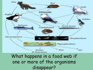 What happens in a food web if
one or more of the organisms
disappear?
 