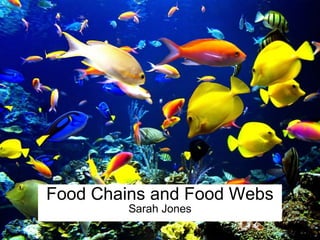Food Chains and Food Webs 
Sarah Jones 
 