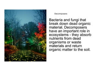 Decomposers - Bacteria and fungi that break 
down dead organic material. Decomposers have an 
important role in ecosystems - they absorb 
nutrients from dead organisms or waste materials 
and return organic matter to the soil. 
www.earthtimes.org 
 