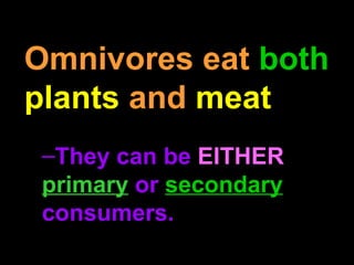 Omnivores eat both
plants and meat
–They can be EITHER
primary or secondary
consumers.
 