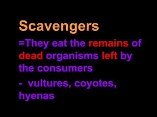 Scavengers
=They eat the remains of
dead organisms left by
the consumers
- vultures, coyotes,
hyenas
 