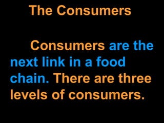 The Consumers
Consumers are the
next link in a food
chain. There are three
levels of consumers.
 