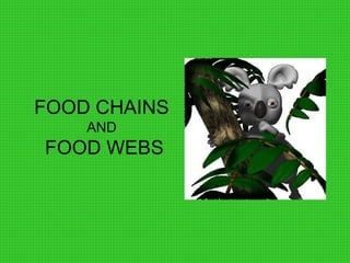 FOOD CHAINS
AND
FOOD WEBS
 