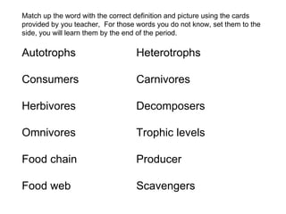Match up the word with the correct definition and picture using the cards provided by you teacher,  For those words you do not know, set them to the side, you will learn them by the end of the period. Autotrophs Heterotrophs Consumers Carnivores Herbivores   Decomposers  Omnivores  Trophic levels Food chain Producer Food web Scavengers 