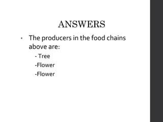 FoodChains CSEC PowerPoint Presentation for students | PPTX