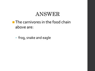 FoodChains CSEC PowerPoint Presentation for students | PPTX