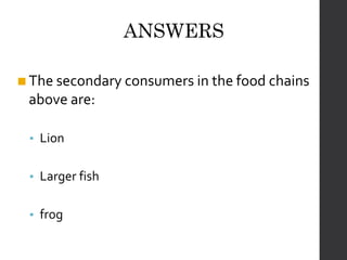 FoodChains CSEC PowerPoint Presentation for students | PPTX