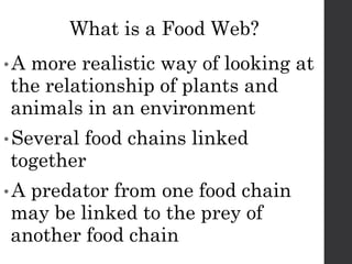 FoodChains CSEC PowerPoint Presentation for students | PPTX