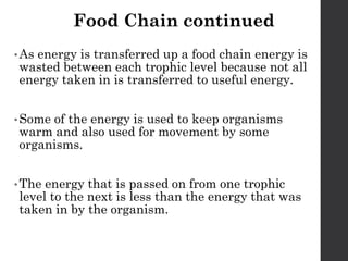 FoodChains CSEC PowerPoint Presentation for students | PPTX