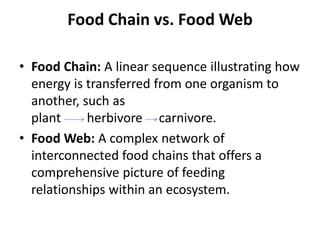 Understanding Food Chains and Food Webs: Ecological Energy Flow and ...