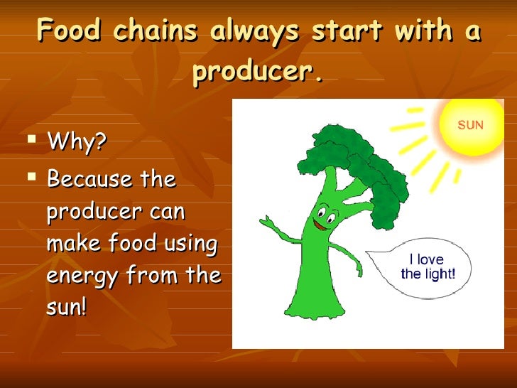 Food chain ppt for grade 5 picture