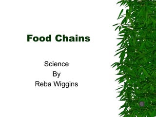 Food Chains
Science
By
Reba Wiggins
 
