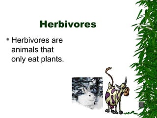 Food chains (science) | PPT