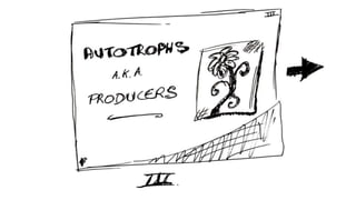 Food Chain Storyboard for #SOyER1314
