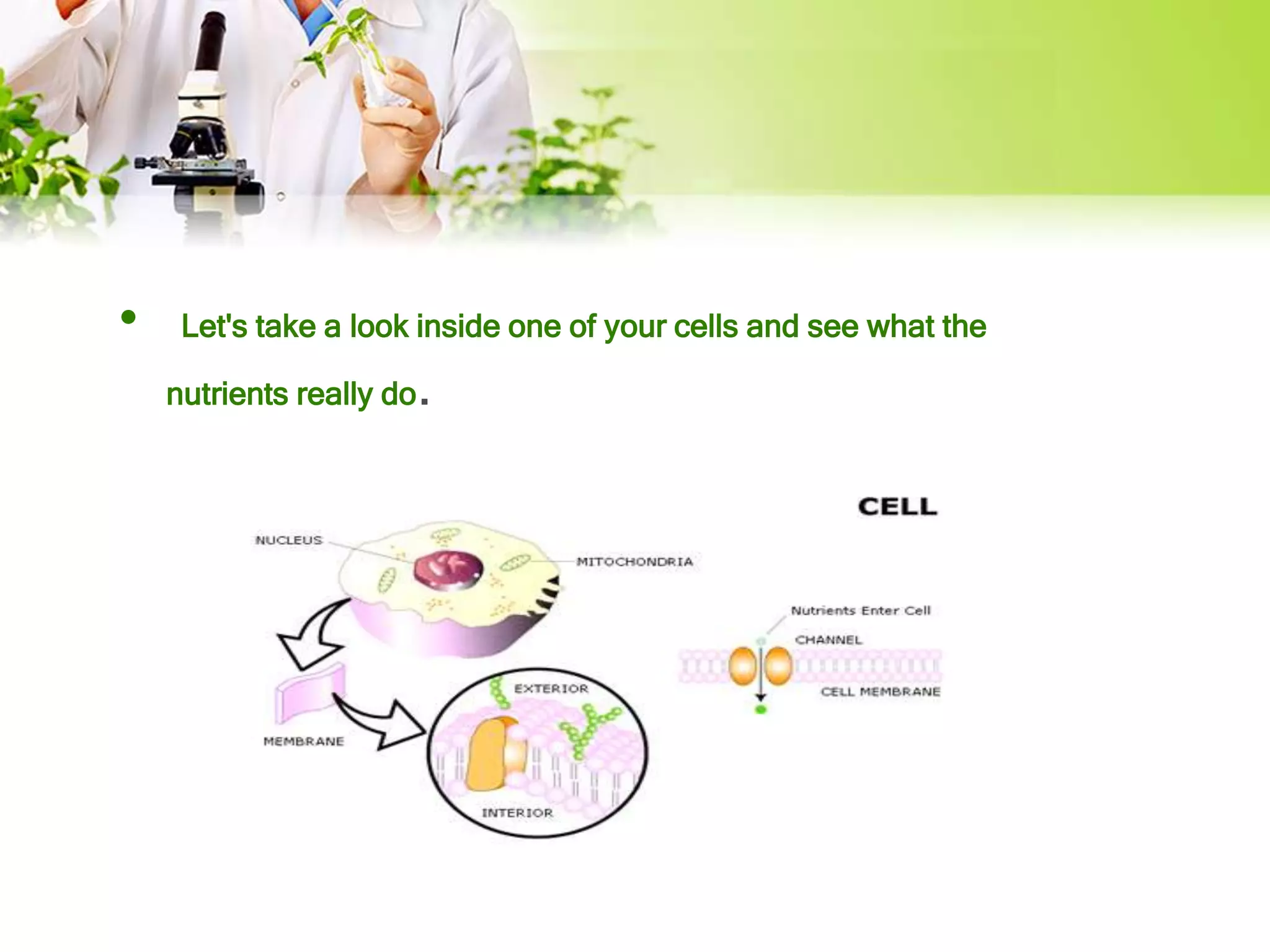 Food chemistry | PPTX