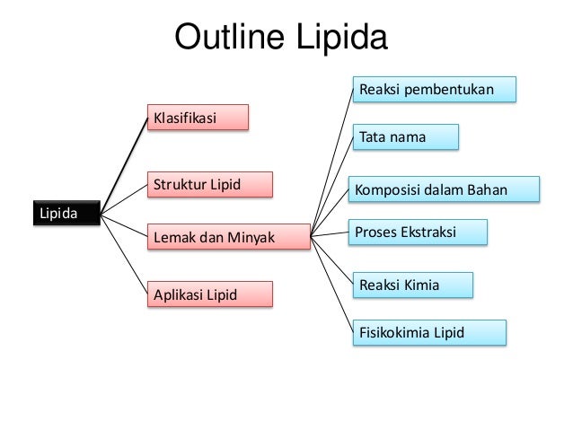 Food chemistry of lipid 1