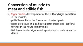 [BioChem] Food Chemistry: Meat and Fish.pdf