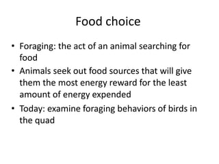 Food choice
• Foraging: the act of an animal searching for
food
• Animals seek out food sources that will give
them the most energy reward for the least
amount of energy expended
• Today: examine foraging behaviors of birds in
the quad
 