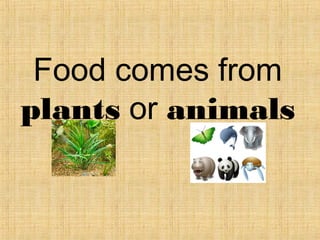 Food comes from
plants or animals
 