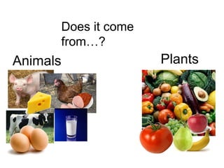 Food comes from plants or animals