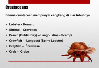 Semua crustacean mempunyai cangkang di luar tubuhnya.
 Lobster - Homard
 Shrimp – Crevettes
 Prawn (Dublin Bay) – Langoustine - Scampi
 Crawfish – Langoust (Spiny Lobster)
 Crayfish – Écrevisse
 Crab – Crabe
Crustaceans
Delhindra /chefqtrainer.blogspot.com
 