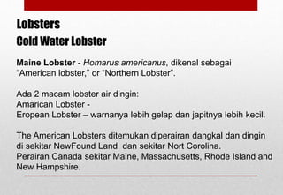 Cold Water Lobster
Maine Lobster - Homarus americanus, dikenal sebagai
“American lobster,” or “Northern Lobster”.
Ada 2 macam lobster air dingin:
Amarican Lobster -
Eropean Lobster – warnanya lebih gelap dan japitnya lebih kecil.
The American Lobsters ditemukan diperairan dangkal dan dingin
di sekitar NewFound Land dan sekitar Nort Corolina.
Perairan Canada sekitar Maine, Massachusetts, Rhode Island and
New Hampshire.
Lobsters
Delhindra /chefqtrainer.blogspot.com
 