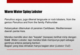 Warm Water Spiny Lobster
Panulirus argus, juga dikenal langouste or rock lobsters, from the
genius Panulirus and from the family Palinuridae
Kebanyakan ditemukan di perairan Caribbean, Mediterranean
daerah pantai Asia.
Mereka memiliki ekor dan "kepala" (karapas) terlihat mirip dengan
Cold Water Lobster, tapi mereka tidak mempunya japit sebagai
gantinya antena panjang berduri.
Bagian yang bisa dimakan hanya bagian ekor (Lobster Tail)
Delhindra /chefqtrainer.blogspot.com
 