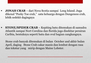  JONAH CRAB – dari Nova Scotia sampai Long Island. Juga
dikenal “Peeky Toe crab,” satu keluarga dengan Dungeness crab,
lebih sedekit dagingnya
 STONE/SPIDER CRAB – Kepiting batu ditemukan di samudra
Atlantik sampai Nort Corolina dan florida juga disekitar perairan
Caribia, bentuknya seperti batu dan oval bagian cangkangnya.
Stone crab banyak ditemukan di bulan October and akhir bulan
April, daging Stone Crab cakar manis dan lembut dengan rasa
dan tekstur yang mirip dengan Maine Lobster.
Delhindra /chefqtrainer.blogspot.com
 