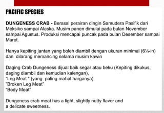 PACIFIC SPECIES
DUNGENESS CRAB - Berasal perairan dingin Samudera Pasifik dari
Meksiko sampai Alaska. Musim panen dimulai pada bulan November
sampai Agustus. Produksi mencapai puncak pada bulan Desember sampai
Maret.
Hanya kepiting jantan yang boleh diambil dengan ukuran minimal (6¼-in)
dan dilarang memancing selama musim kawin
Daging Crab Dungeness dijual baik segar atau beku (Kepiting dikukus,
daging diambil dan kemudian kalengan),
“Leg Meat " (yang paling mahal harganya),
”Broken Leg Meat”
“Body Meat”
Dungeness crab meat has a light, slightly nutty flavor and
a delicate sweetness.Delhindra /chefqtrainer.blogspot.com
 