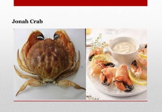 Jonah Crab
Delhindra /chefqtrainer.blogspot.com
 