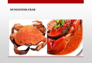DUNGENESS CRAB
Delhindra /chefqtrainer.blogspot.com
 