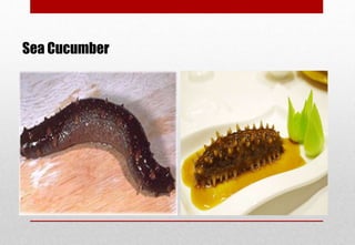 Sea Cucumber
Delhindra /chefqtrainer.blogspot.com
 