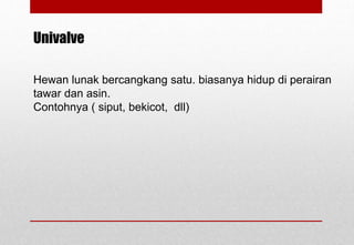 Hewan lunak bercangkang satu. biasanya hidup di perairan
tawar dan asin.
Contohnya ( siput, bekicot, dll)
Univalve
Delhindra /chefqtrainer.blogspot.com
 