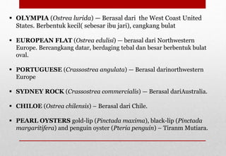  OLYMPIA (Ostrea lurida) — Berasal dari the West Coast United
States. Berbentuk kecil( sebesar ibu jari), cangkang bulat
 EUROPEAN FLAT (Ostrea edulisi) — berasal dari Northwestern
Europe. Bercangkang datar, berdaging tebal dan besar berbentuk bulat
oval.
 PORTUGUESE (Crassostrea angulata) — Berasal darinorthwestern
Europe
 SYDNEY ROCK (Crassostrea commercialis) — Berasal dariAustralia.
 CHILOE (Ostrea chilensis) – Berasal dari Chile.
 PEARL OYSTERS gold-lip (Pinctada maxima), black-lip (Pinctada
margaritifera) and penguin oyster (Pteria penguin) – Tiranm Mutiara.
Delhindra /chefqtrainer.blogspot.com
 