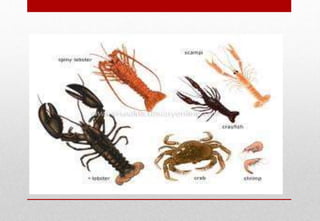 Delhindra /chefqtrainer.blogspot.com
 