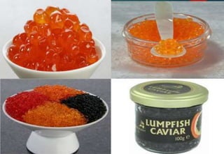 Delhindra /chefqtrainer.blogspot.com
 