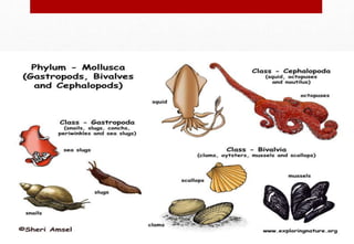 Delhindra /chefqtrainer.blogspot.com
 