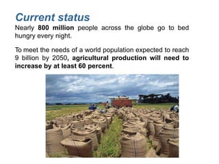 Current status
Nearly 800 million people across the globe go to bed
hungry every night.
To meet the needs of a world population expected to reach
9 billion by 2050, agricultural production will need to
increase by at least 60 percent.
 