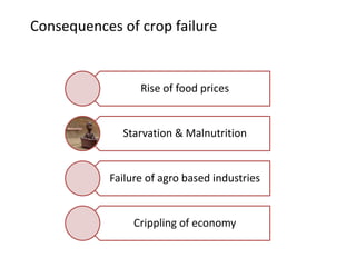 Consequences of crop failure
Rise of food prices
Starvation & Malnutrition
Failure of agro based industries
Crippling of economy
 