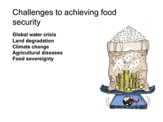 Challenges to achieving food
security
Global water crisis
Land degradation
Climate change
Agricultural diseases
Food sovereignty
 