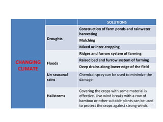CHANGING
CLIMATE
SOLUTIONS
Droughts
Construction of farm ponds and rainwater
harvesting
Mulching
Mixed or inter-cropping
Floods
Ridges and furrow system of farming
Raised bed and furrow system of farming
Deep drains along lower edge of the field
Un-seasonal
rains
Chemical spray can be used to minimize the
damage
Hailstorms
Covering the crops with some material is
effective. Live wind breaks with a row of
bamboo or other suitable plants can be used
to protect the crops against strong winds.
 